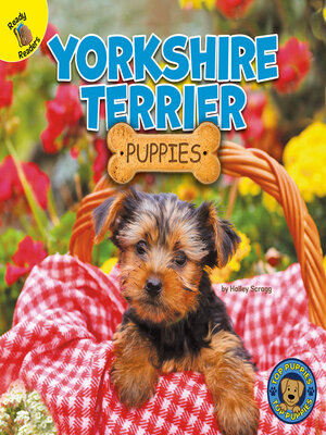 cover image of Yorkshire Terrier Puppies